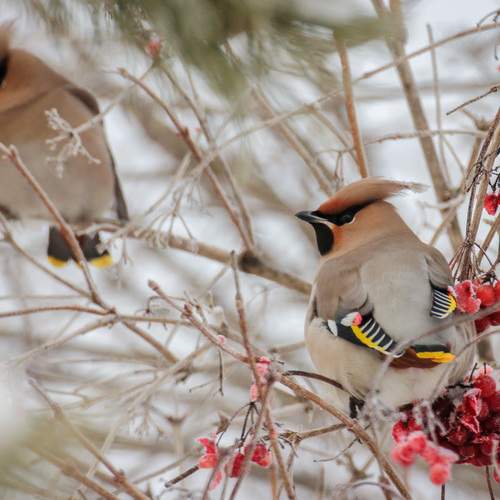 Photo #13231755