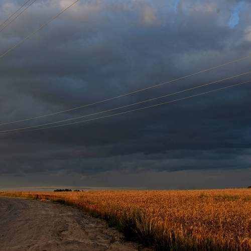 Photo #13231780