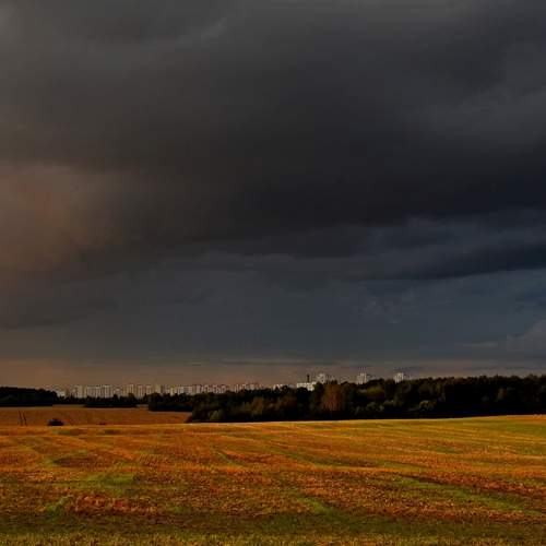 Photo #13231782