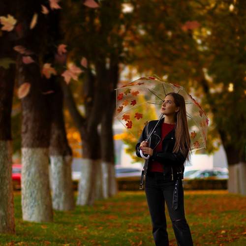 Photo #13231831