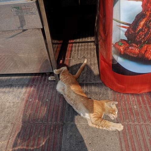 Photo #13232143