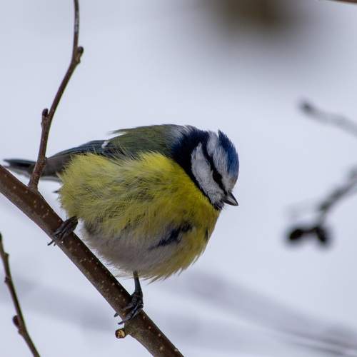 Photo #13232175