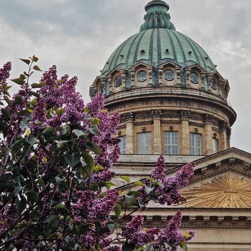 Photo #13232232