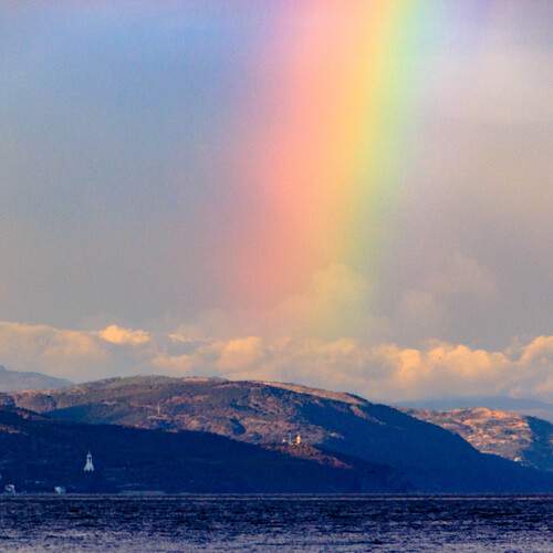 Photo #13232319