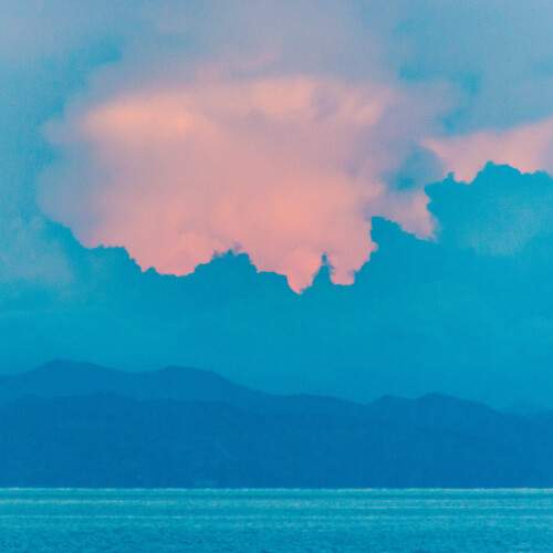 Photo #13232329