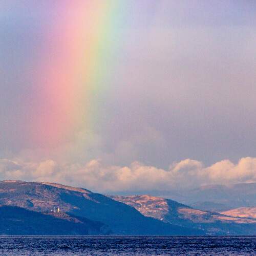 Photo #13232330
