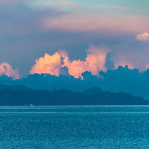 Photo #13232332