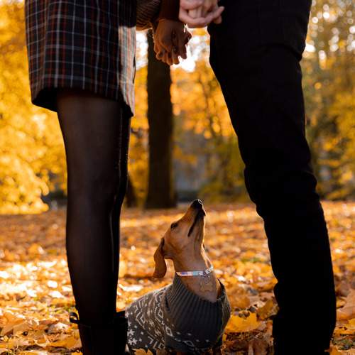 Photo #13232341