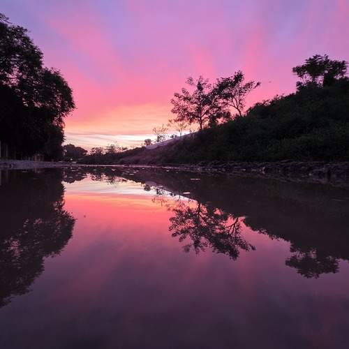 Photo #13232393