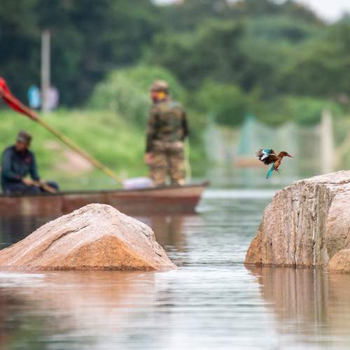 Фотография #13232421