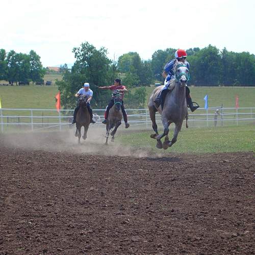 Photo #13232444
