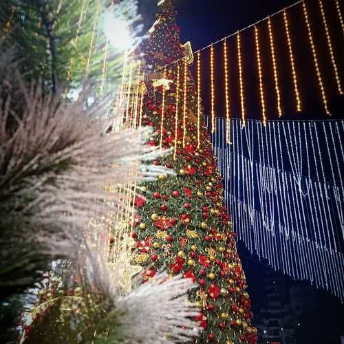 Фотография #13232474