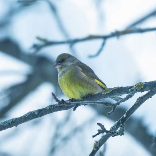 Photo #13232493
