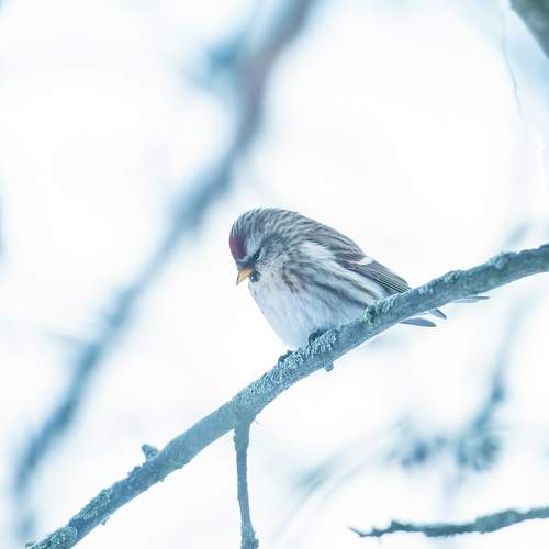 Photo #13232494