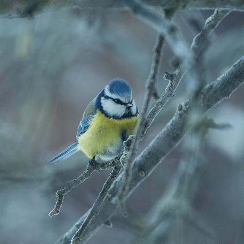 Photo #13232495