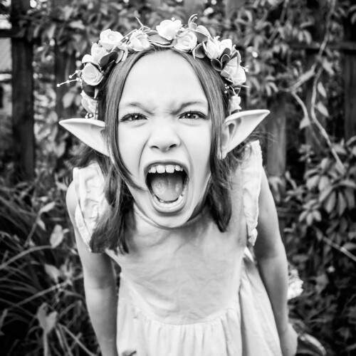 Photo #13232504