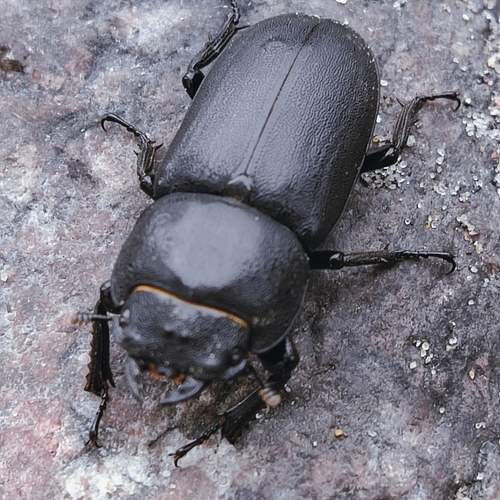 Photo #13232506