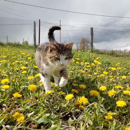 Photo #13232566