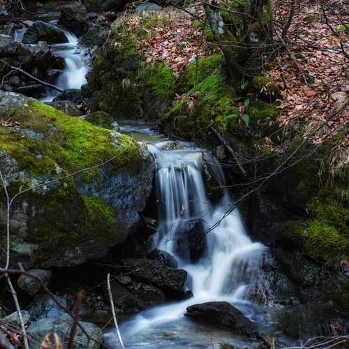 Photo #13232587