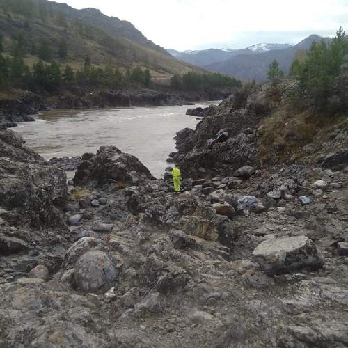 Photo #13232627