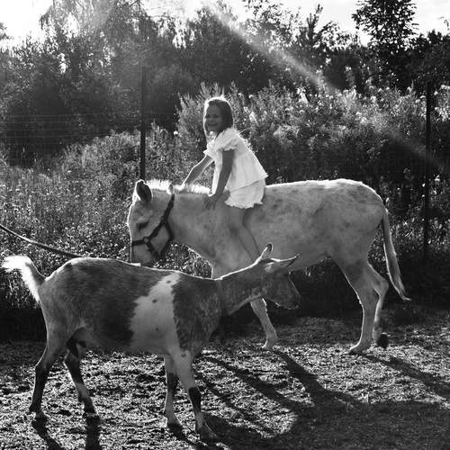 Фотография #13232686