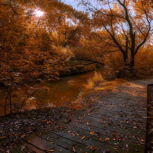 Речка Сетунь осенью.