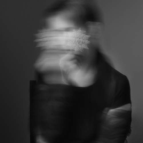 Photo #13233076
