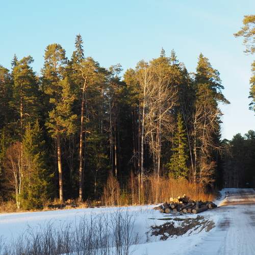 Photo #13233280