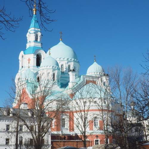 Photo #13233282