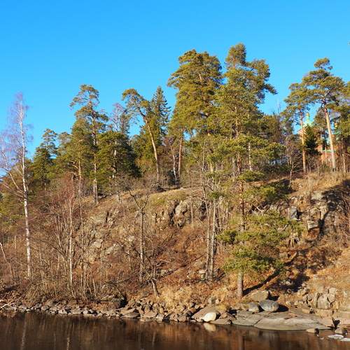 Photo #13233297