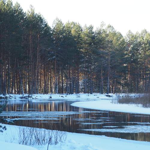 Photo #13233300