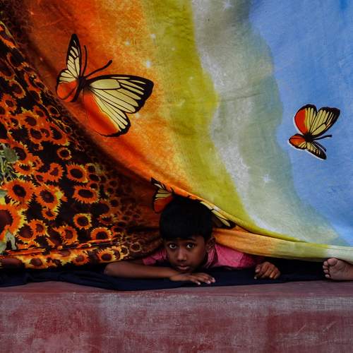 Photo #13233351