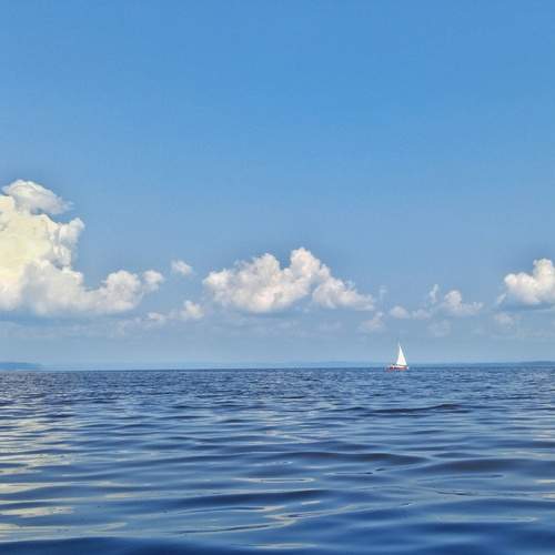 Photo #13233534