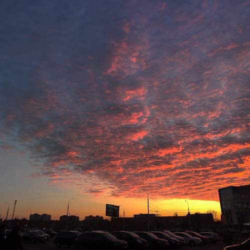 Photo #13233567