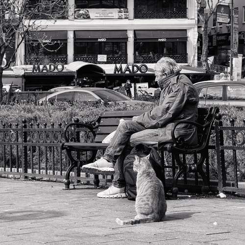 Photo #13233587