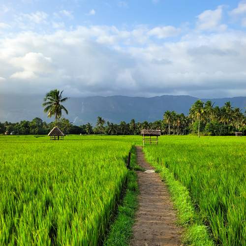 Beauty of kerala