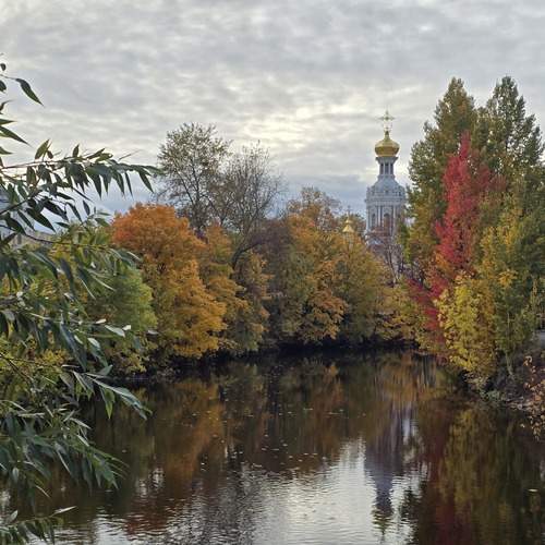 Photo #13233632