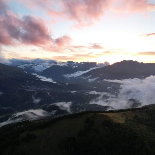 Photo #13233732
