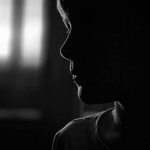 Photo #13233803