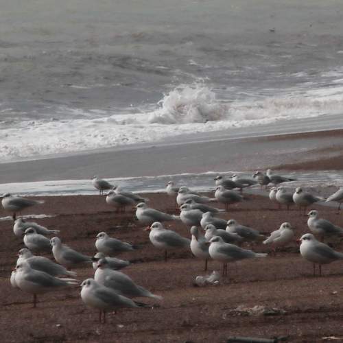 Photo #13233848