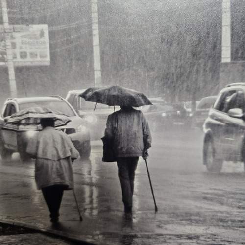 Photo #13233860