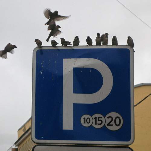 Photo #13233910
