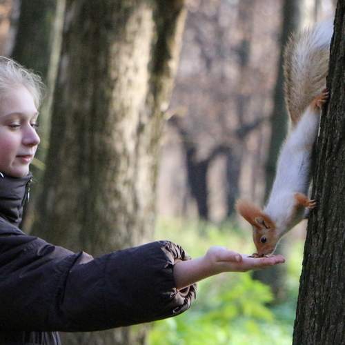 Photo #13234016