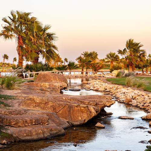 Photo #13234208