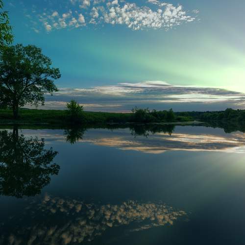 Photo #13234220