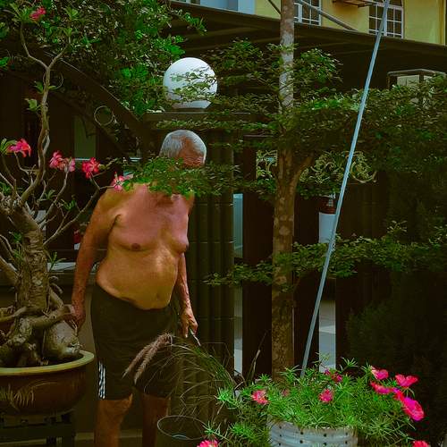 Photo #13234337