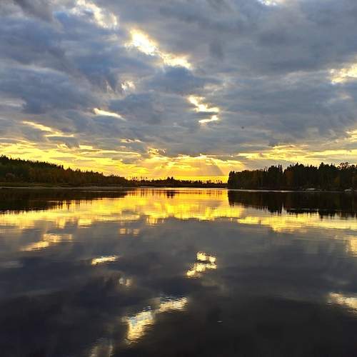 Photo #13234378