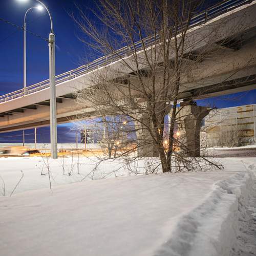 Photo #13234506