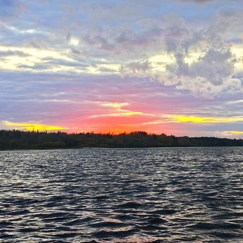 Photo #13234509