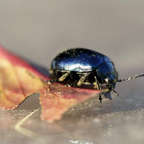 Photo #13234510